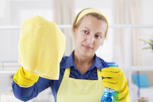 Window cleaning tools and safe techniques for clear glass