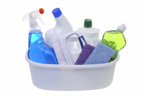 Cleaning supplies prepared for oven maintenance