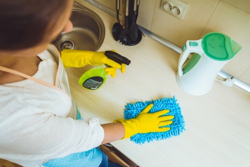 Applying a cleaning solution inside an oven