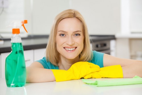 Cleaning supplies prepared for move in cleaning