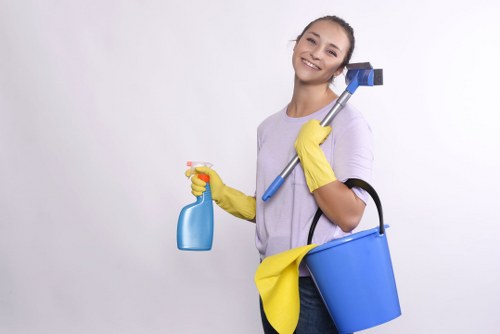Professional upholstery cleaning equipment on a fabric couch